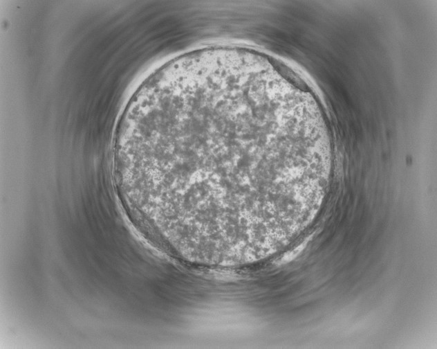 X0000085300911200704092254