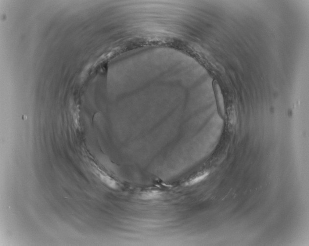 X0000085300916200704092254