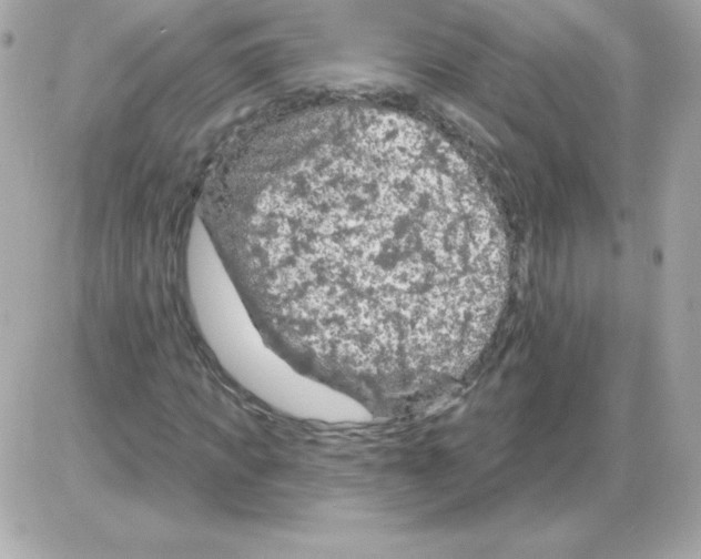 X0000085300917200704092254