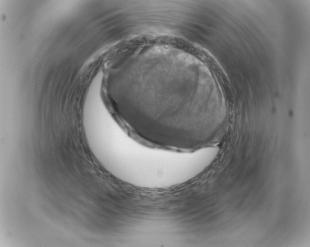 X0000085300919200704092254