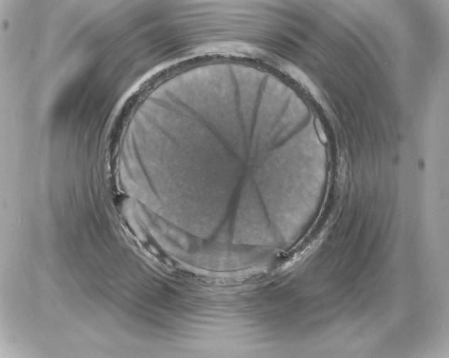X0000085300923200704092254