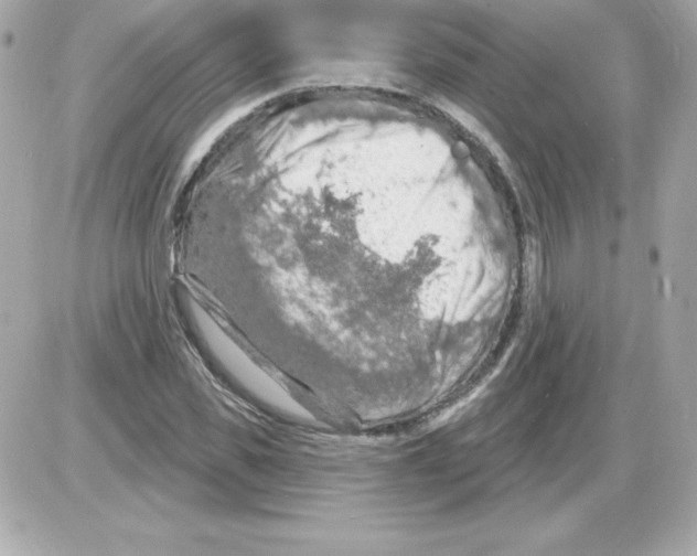 X0000085300925200704092254
