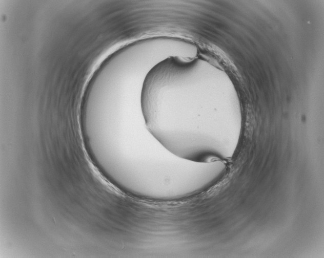 X0000085300942200704092254