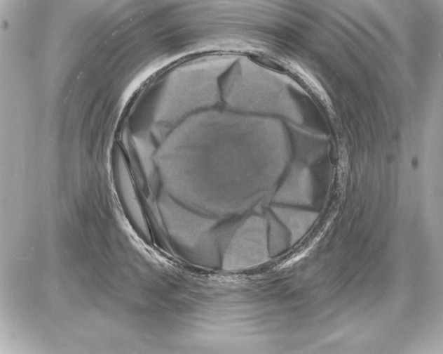 X0000085300944200704092254