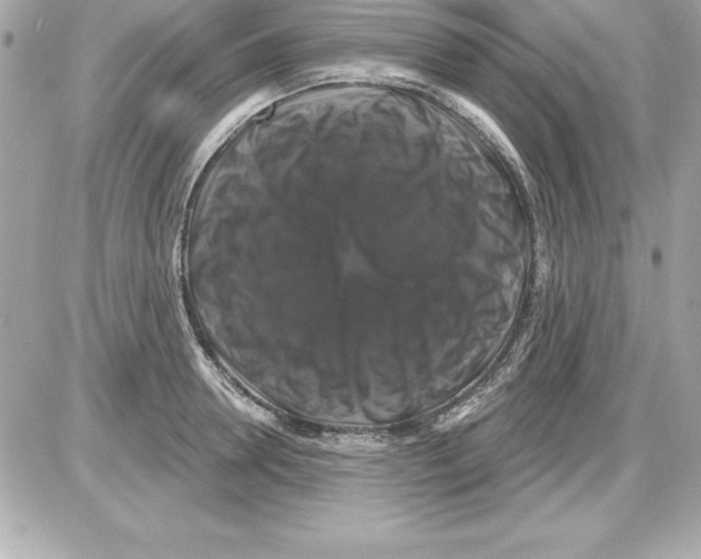 X0000085300946200704092254