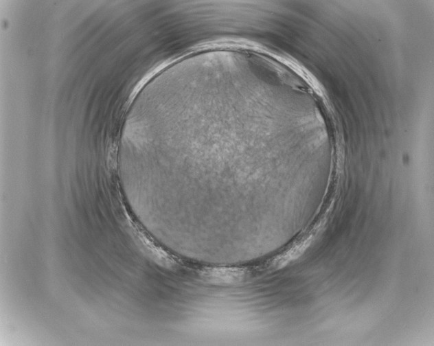 X0000085300953200704092254