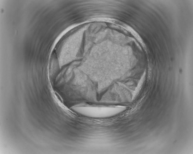 X0000085300955200704092254
