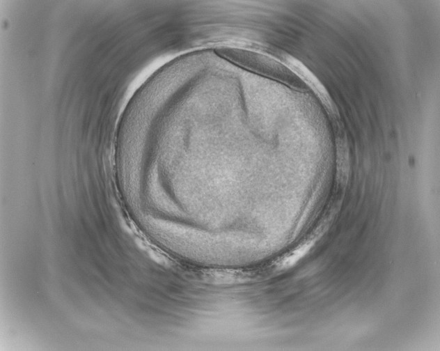 X0000085300956200704092254