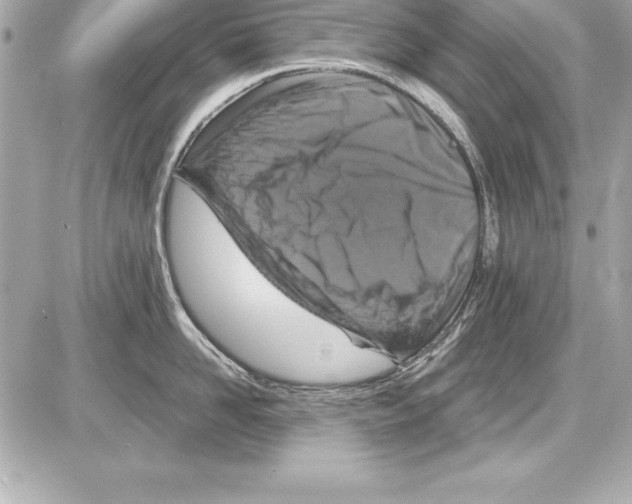 X0000085300958200704092254