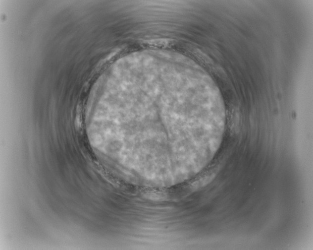 X0000085300962200704092253