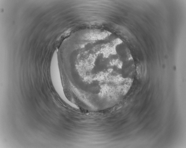 X0000085300963200704092253