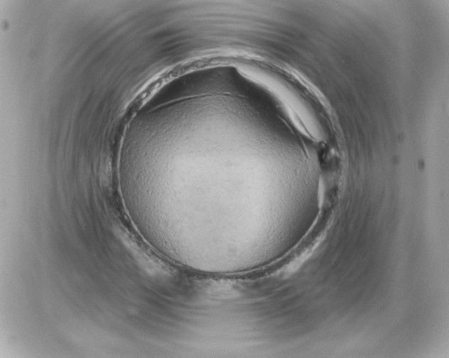X0000085300969200704092253