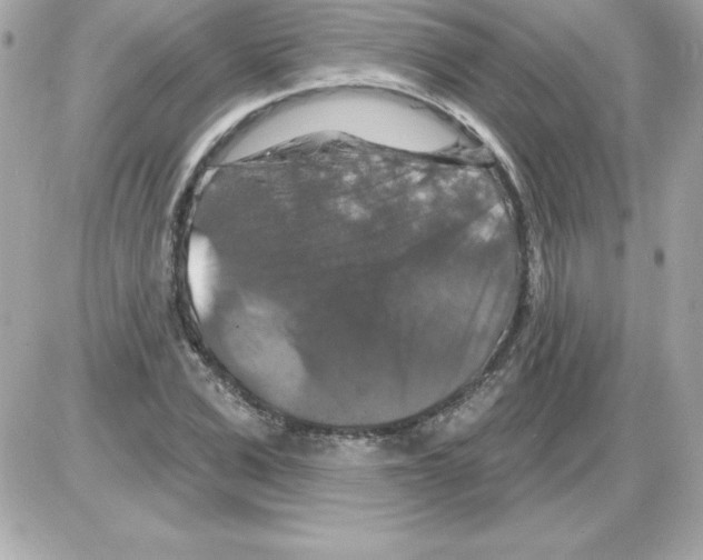 X0000085300975200704092253