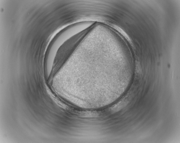 X0000085300980200704092253