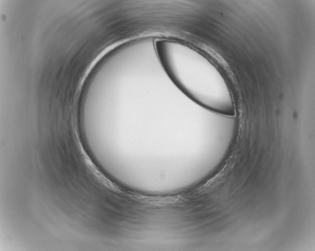 X0000085300984200704092253