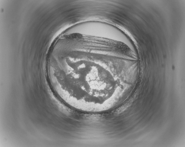 X0000085300991200704092253