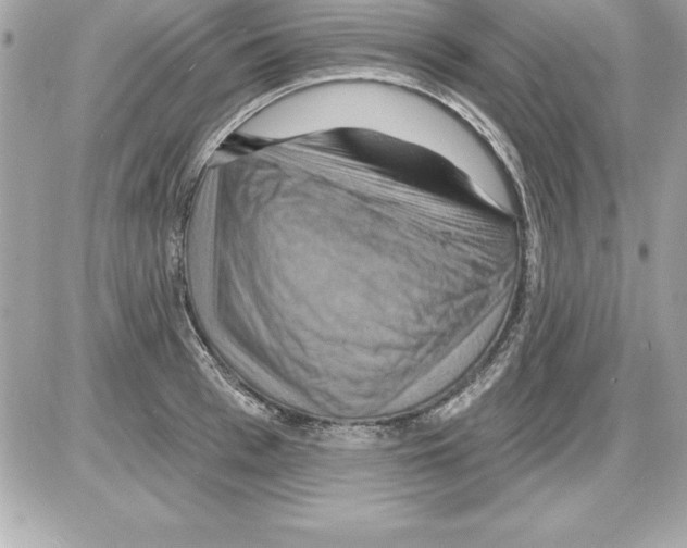 X0000085300993200704092253