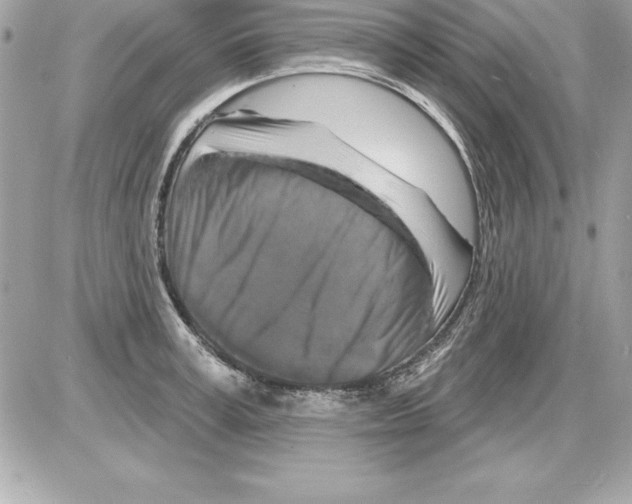 X0000085300995200704092253