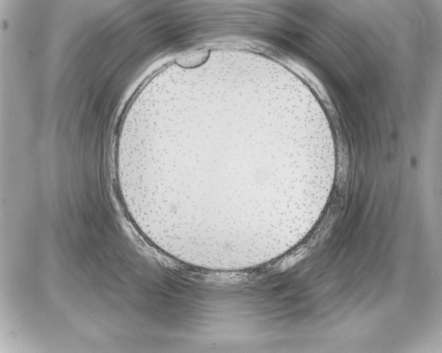 X0000085301000200704092253
