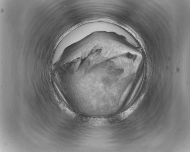 X0000085301001200704092253