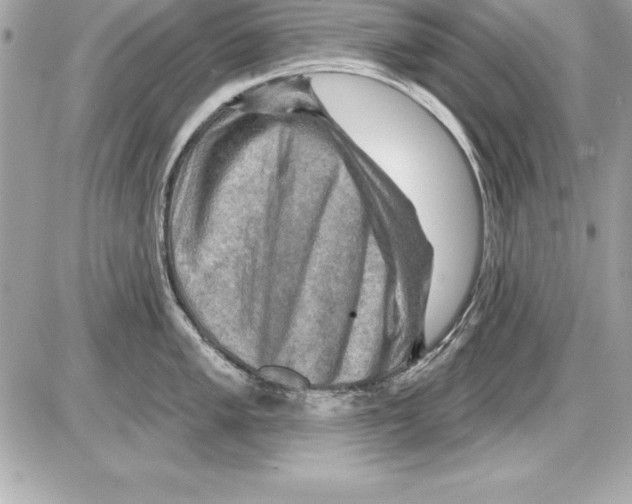 X0000085301005200704092253