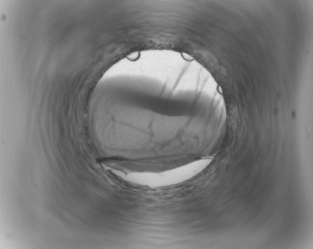 X0000085301009200704092252