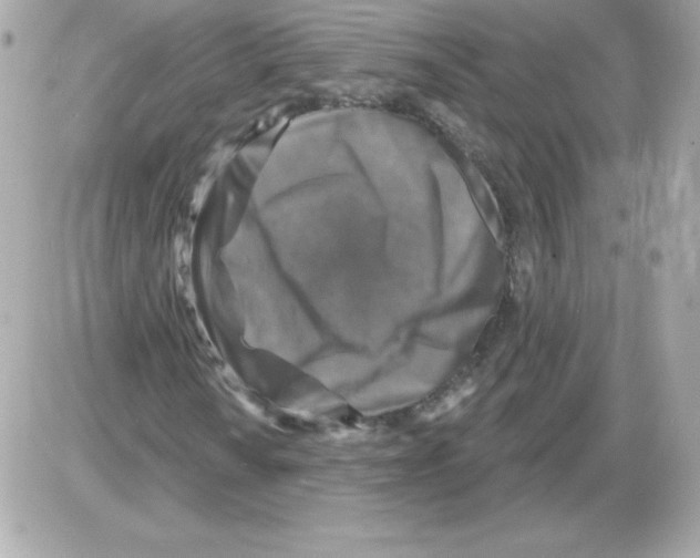 X0000085301010200704092252