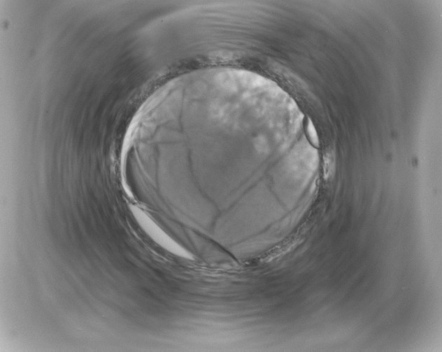X0000085301011200704092252