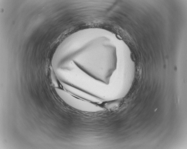 X0000085301012200704092252
