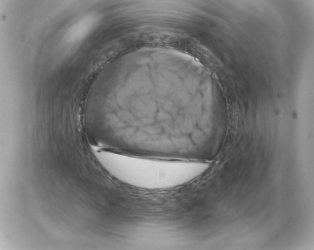 X0000085301013200704092252