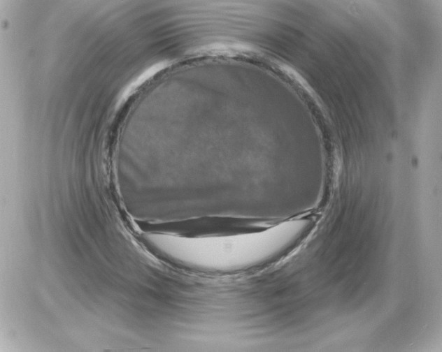 X0000085301018200704092252