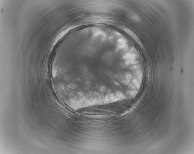X0000085301023200704092252