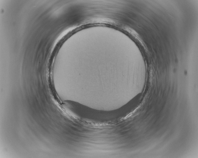 X0000085301024200704092252