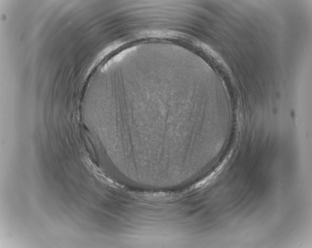 X0000085301025200704092252