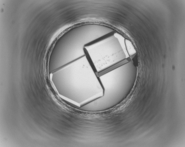 X0000085301030200704092252