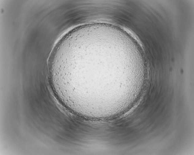 X0000085301031200704092252