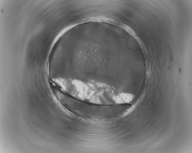 X0000085301032200704092252