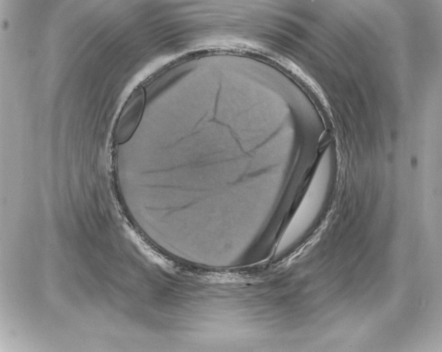 X0000085301037200704092252