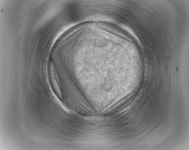 X0000085301040200704092252