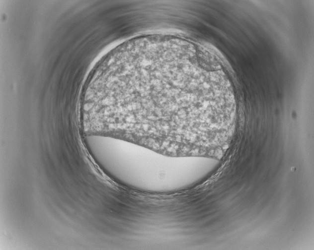 X0000085301044200704092252
