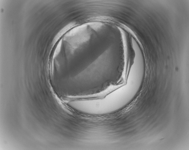 X0000085301050200704092253