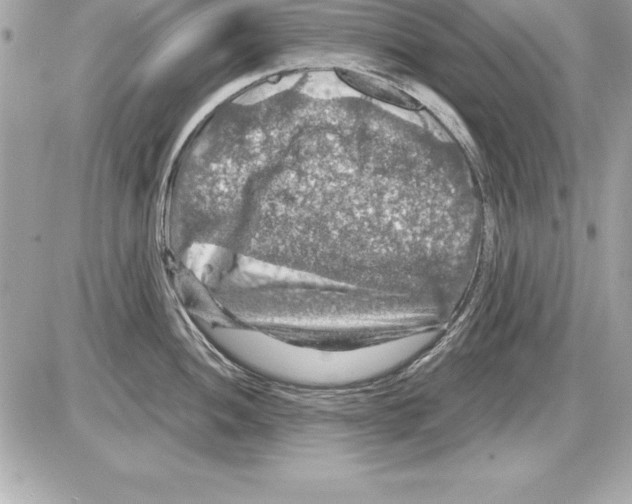 X0000085301052200704092253