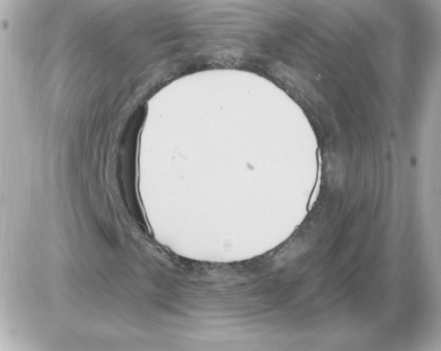 X0000085301057200704092252