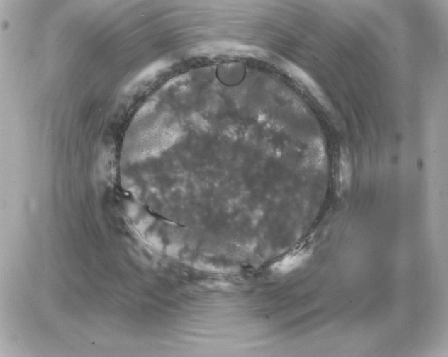 X0000085301063200704092252