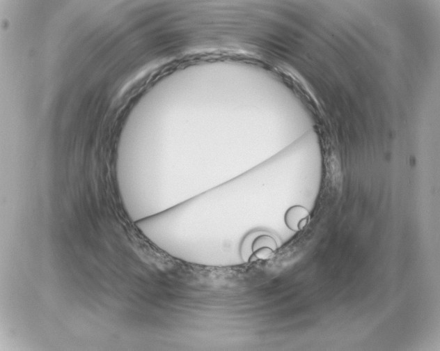 X0000085301064200704092252