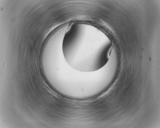 X0000085301065200704092252
