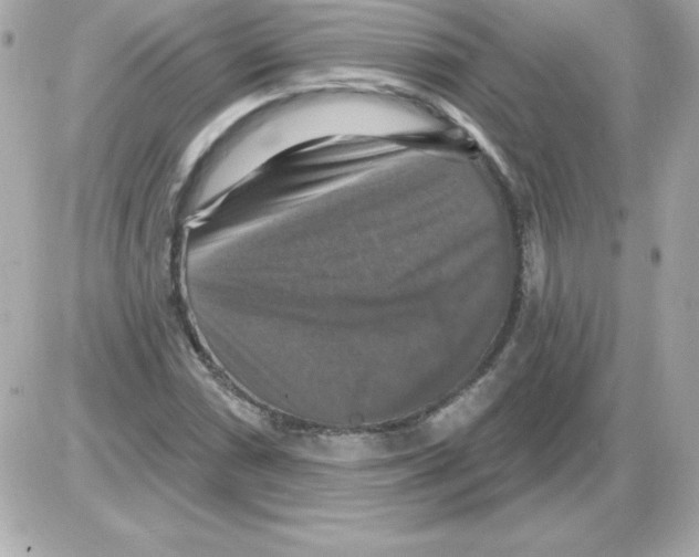 X0000085301066200704092252