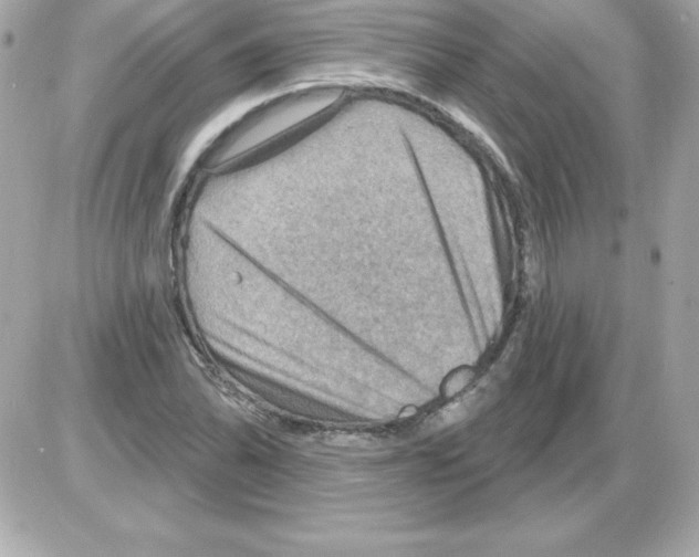 X0000085301070200704092252