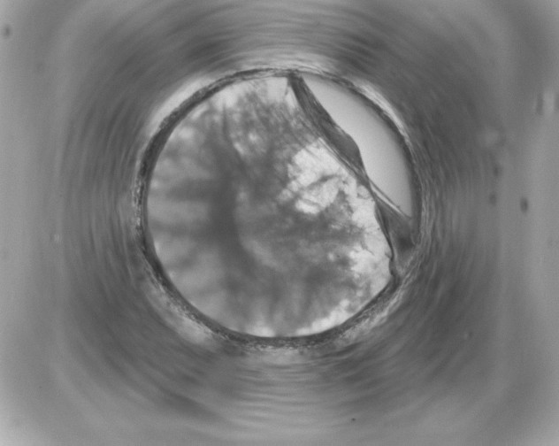 X0000085301071200704092252