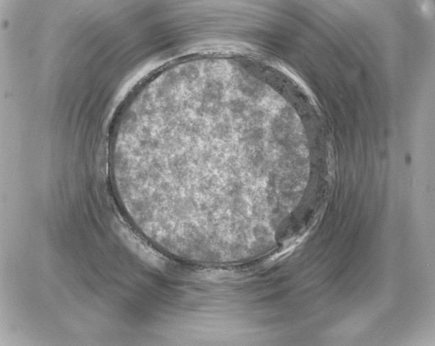 X0000085301075200704092252